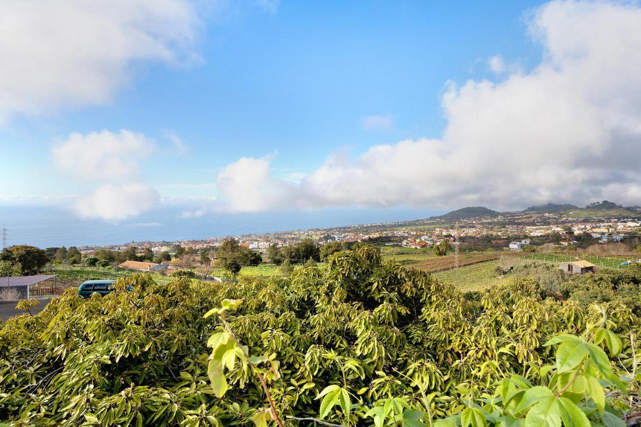 Casa Andrea Villa Tacoronte Bagian luar foto